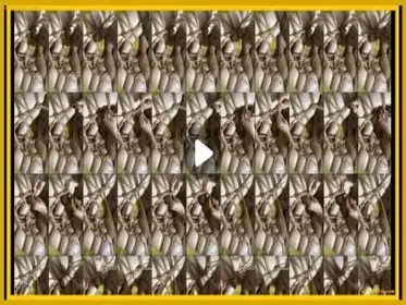 Bokep Msbreewc Onlyfans Di Ikat Kokoh Udah Kaya Lontong